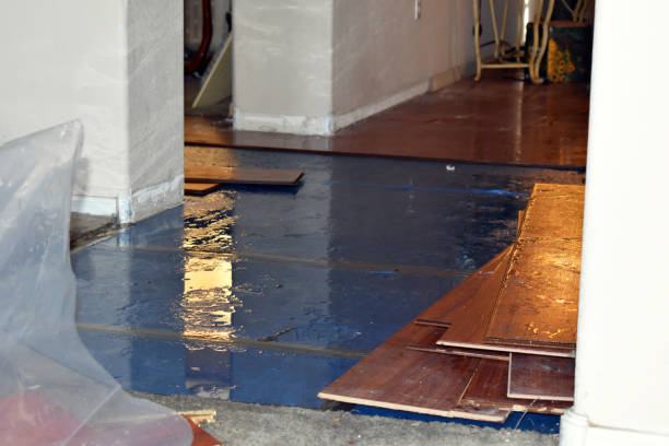 Professional Water Damage Restoration technician working in Bluffton, IN